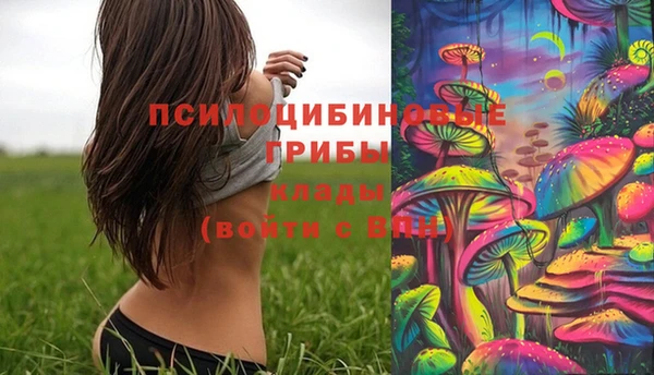 круглые Абаза