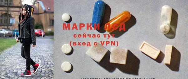 амф Магас