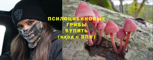 крисы Абинск