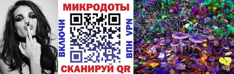 закладки Оренбург Галлюциногенные грибы мицелий