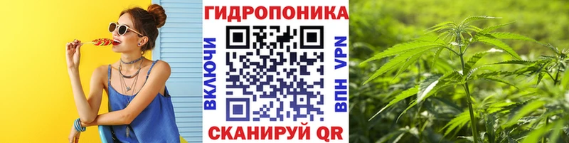 как найти наркотики  Оренбург  Шишки марихуана OG Kush 